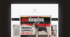 Desktop Screenshot of aireniemeyer.com