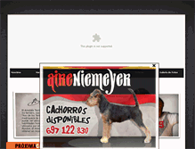 Tablet Screenshot of aireniemeyer.com